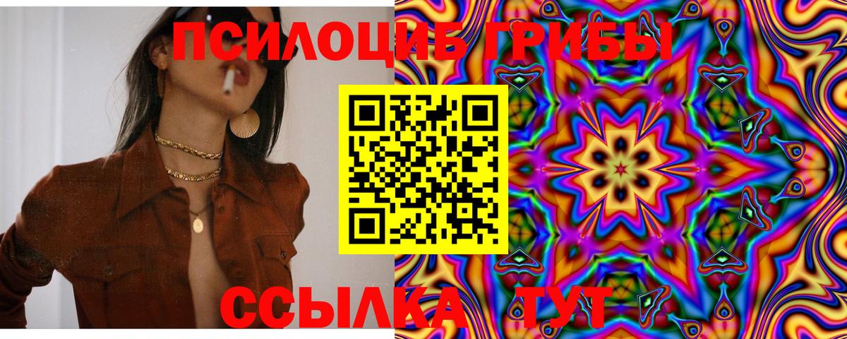 Биробиджан  Галлюциногенные грибы Psilocybe  Галлюциногенные грибы GOLDEN TEACHER  Вход с VPN 