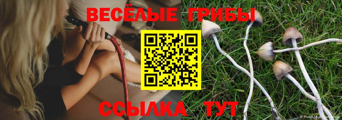 Псилоцибиновые грибы Magic Shrooms Биробиджан